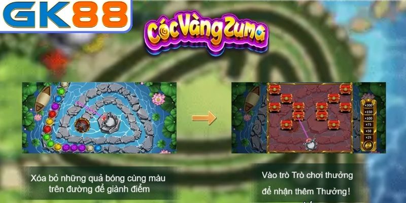 Tổng quan về Cóc vàng Zuma GK88
